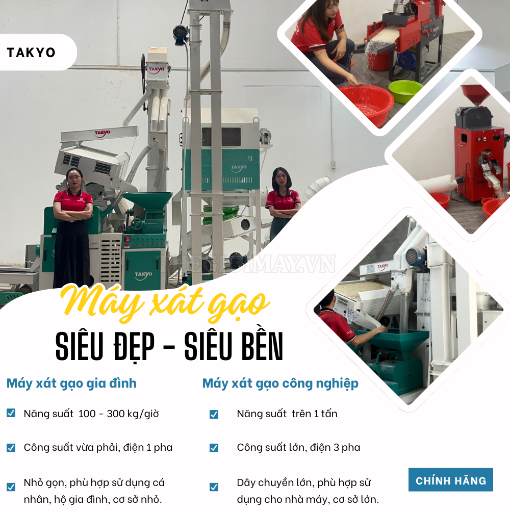 Ứng dụng của máy xay xát gạo trong các quy mô sản xuất khác nhau: Hộ gia đình, trang trại, nhà máy